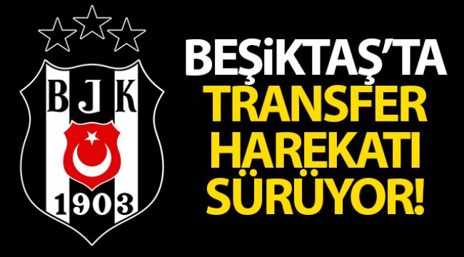 Beşiktaş, Mert Günok için Başakşehir&#039;le anlaştı