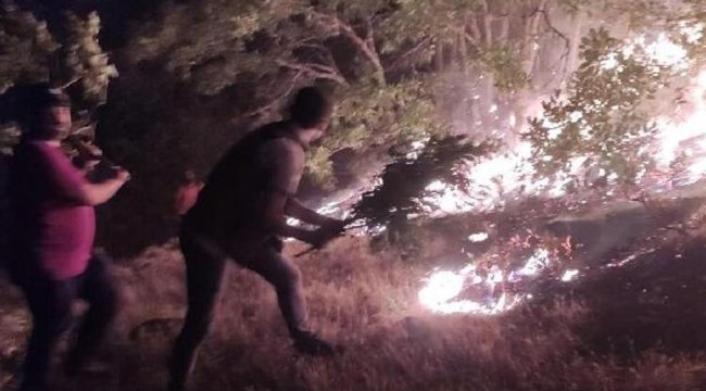 Bingöl'deki orman yangınları kontrol altına alındı