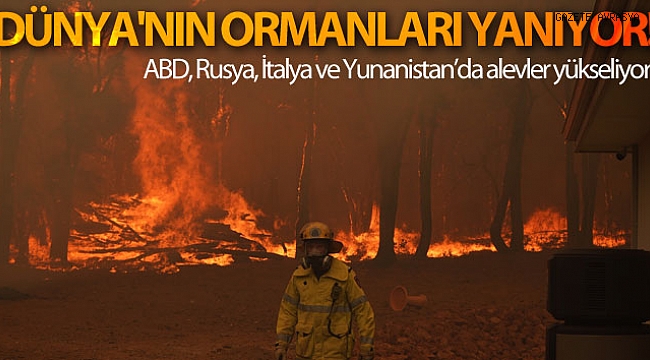 Dünya'nın ormanları yanıyor.
