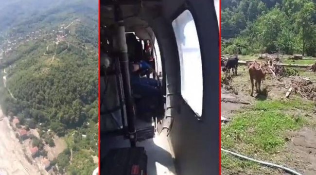 Hayvanları selde mahsur kalmıştı... Helikopter yardımıyla kurtarıldı