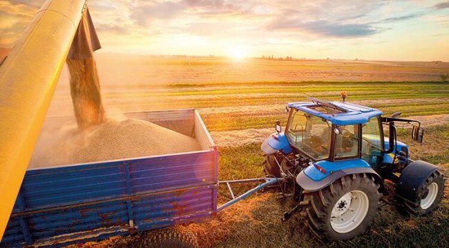 Hububat ve bakliyatta 8 milyar dolarlık ihracat