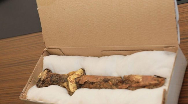 Kazakistan'da keşfedildi! Yüzyıllar öncesine ait