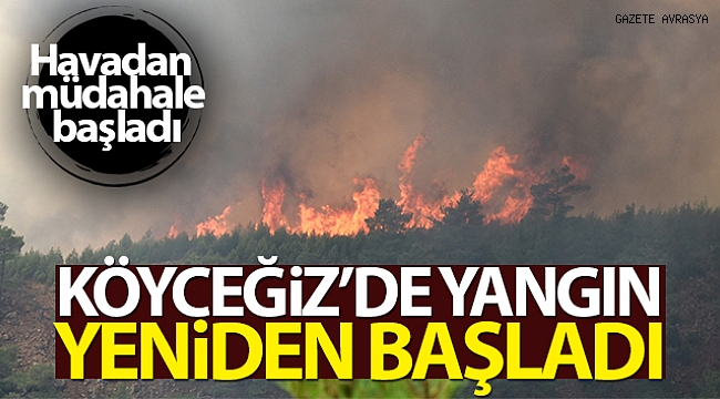 Köyceğiz'deki yangın yeniden başladı.