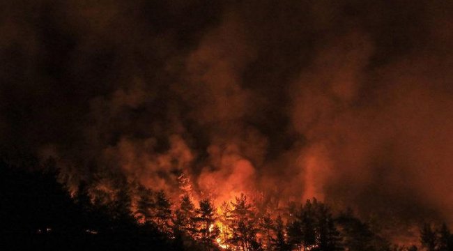 Manavgat&#039;taki büyük yangın 9&#039;uncu gününde! Yangın 5 ilçede sürüyor