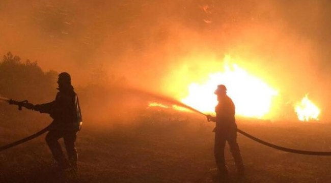 Manisa&#039;daki orman yangını söndürüldü