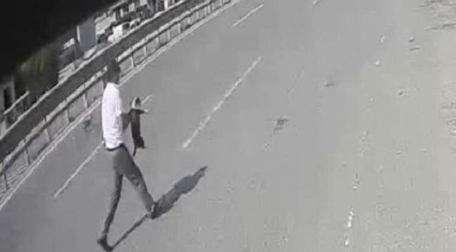 Otobüsü durdurup, yol ortasından yavru köpeği aldı! O anlar kamerada