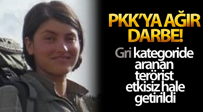 PKK'ya ağır darbe: 500 bin lira ödülle aranan terörist etkisiz hale getirildi.