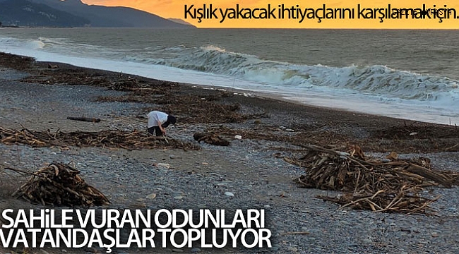 Selin etkili olduğu Kastamonu'da sahile vuran odunları vatandaşlar topluyor.