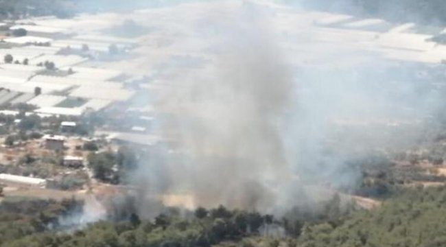 Son dakika... Muğla Seydikemer&#039;de orman yangını