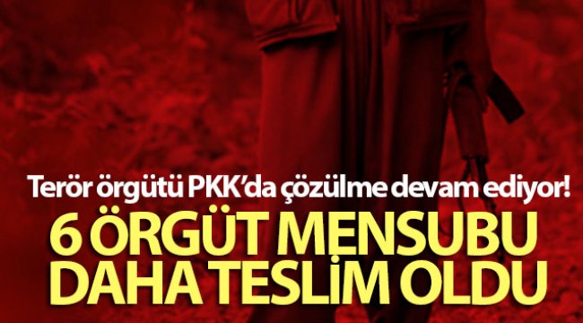 Terör örgütü PKK’da çözülme devam ediyor: 6 örgüt mensubu daha ikna yoluyla teslim oldu
