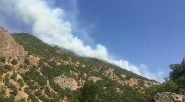 Tunceli'de örtü yangınları kontrol altında