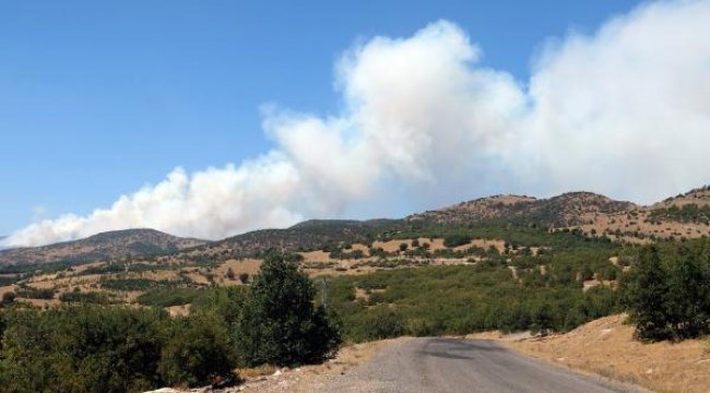 Bingöl’deki orman yangını 5&#039;inci günde