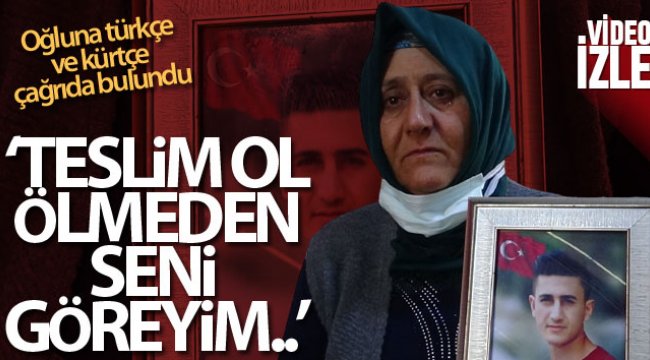 Evlat nöbetindeki gözü yaşlı anne, oğluna Türkçe ve Kürtçe 'teslim ol’ çağrısında bulundu