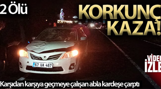 Otomobilin çarptığı 2 kardeş hayatını kaybetti