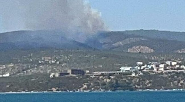 Son Dakika: Bodrum ve Milas&#039;ta orman yangını
