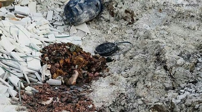 İzmir'de boş arazide insan vücudu parçaları bulundu.