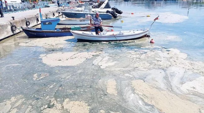 Marmara'nın müsilajdan kurtulması için anti-aging