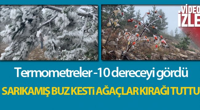 Sarıkamış buz kesti, ağaçlar kırağı tuttu