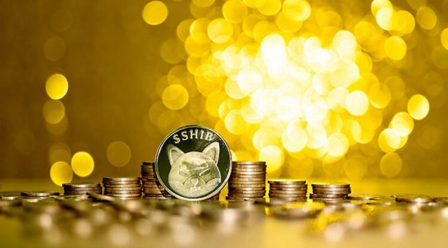 Son dakika... Shiba Inu&#039;de neler oluyor? Yüz binlerce kişi bunu konuşuyor