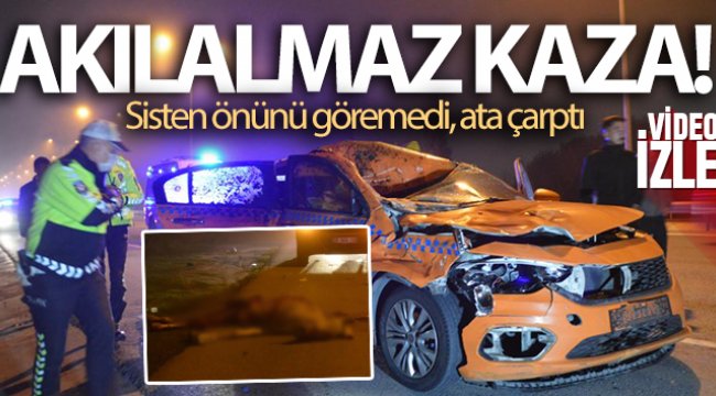 Ticari taksi seyir halindeyken önüne çıkan ata çarptı