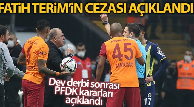PFDK'dan Fatih Terim'e 6 maç ceza