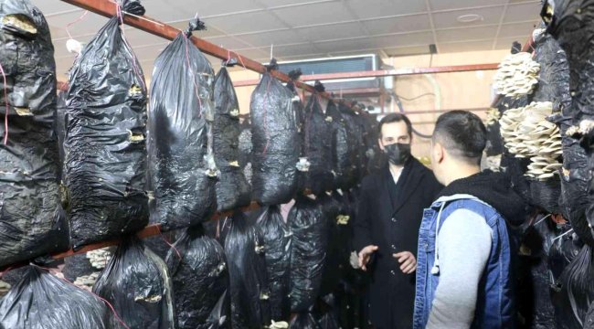 Atıl durumdaki prefabrik, çiftçiler için üretim merkezine çevrildi