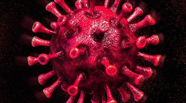 DSÖ&#039;den Omicron varyantı ile ilgili endişelendiren açıklama: Yayılmasını engelleyemez