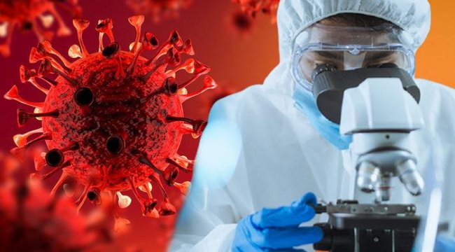 Dünyada Omicron alarmı! Bilim insanları Omicron'daki sır perdesini araladı