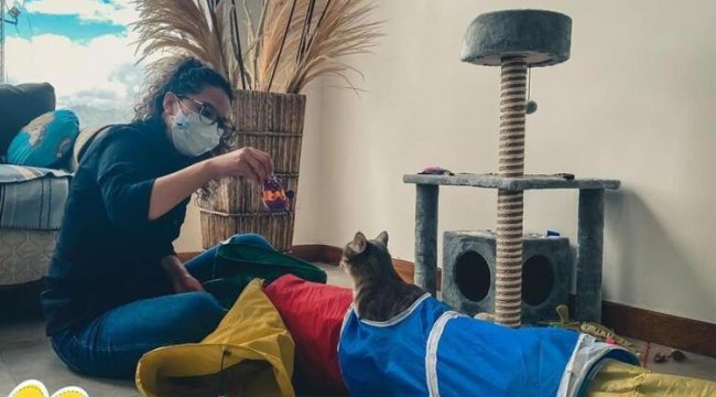 Ekvador’da ilk kedi okulu