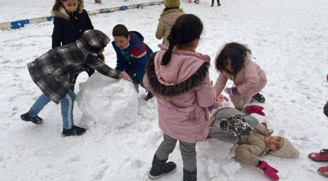 Erzurum, Ardahan, Ağrı ve Kars'ta kar yağışı etkili oldu