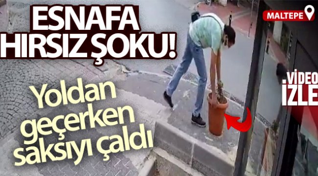 Maltepe’de esnafa hırsız şoku: Yoldan geçerken saksıyı çaldı