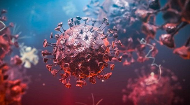 Omicron yayılmaya devam ediyor! ABD'de de rastlandı