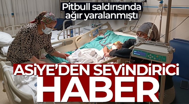 Pitbull saldırısında ağır yaralanan ve doku nakli yapılan Asiye, servise alındı