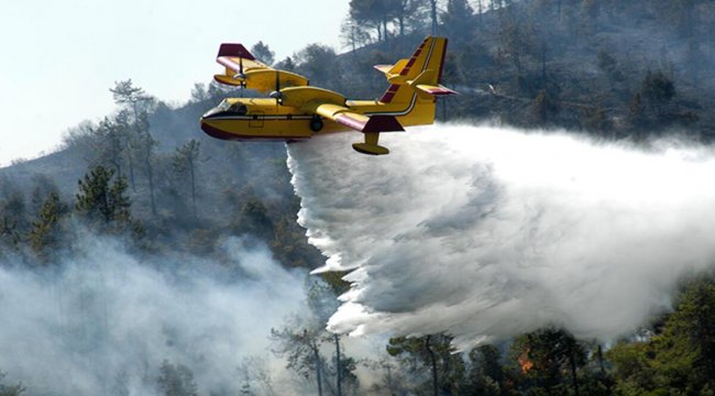 Bakanlık açıkladı! Orman yangınları ile mücadele için dev adım