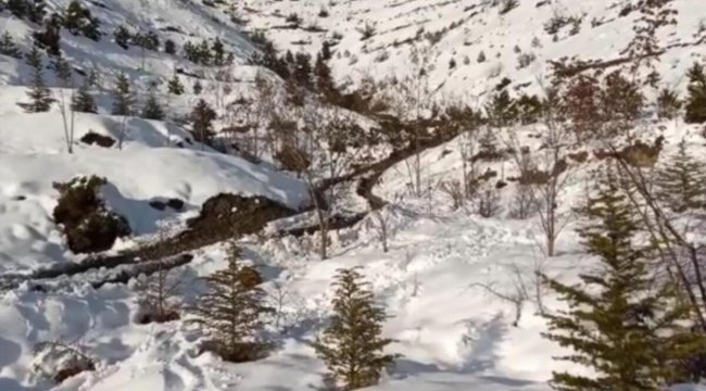 Eşini boğarak öldürüp boş araziye gömdü! 3 yıl sonra teslim oldu