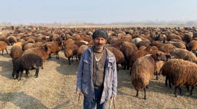 Iğdır'da bahar havası: Besicilerin yüzü güldü