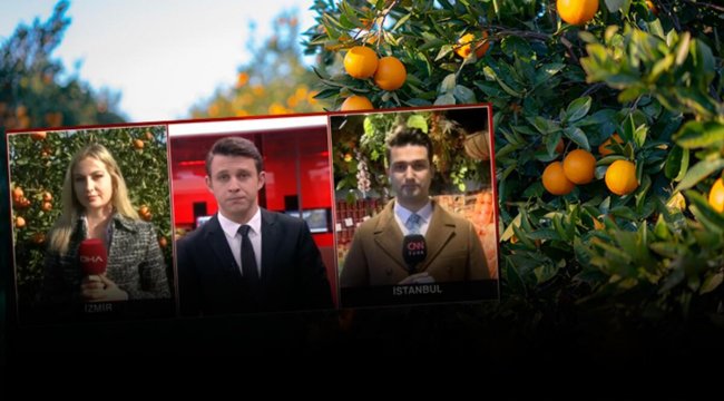 Mandalina bahçede 1.8, markette 24 lira! Fiyat farkının nedeni ne?