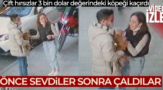 Sevgili çift işyeri önüne bırakılan köpeği severek çaldı