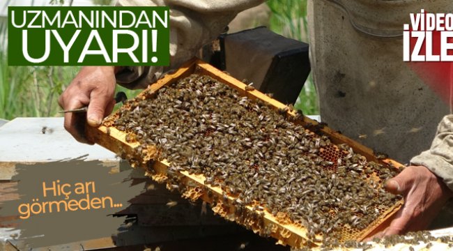 Uzmanı uyardı: &#039;Piyasada hiç arı görmeden üretilen sahte ballar var&#039;