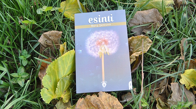 BİR ESİNTİ İLE BAŞLARSIN BAZEN