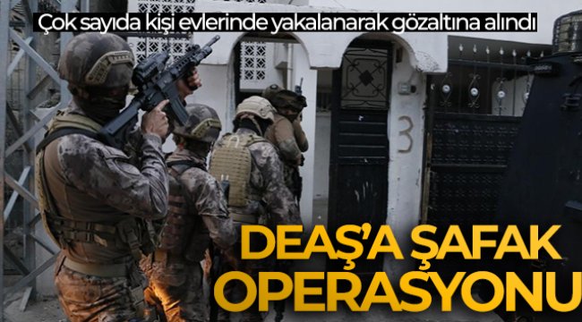 Adana'da terör örgütü DEAŞ'a şafak operasyonu