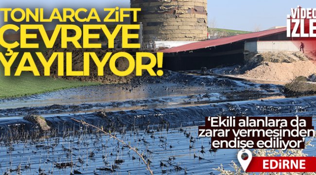 Edirne’de çevre katliamı: Tonlarca zift çevreye yayılıyor
