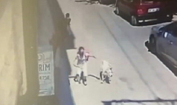 İzmir: 5 yaşındaki çocuğa ve kadına saldıran köpeğin sahibine hapis talebi