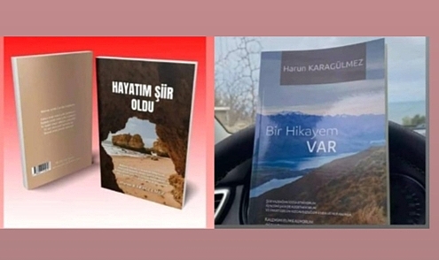 ŞİİR GİBİ HAYATININ ETKİLİ BİR HİKAYESİ VAR