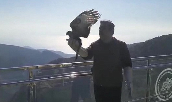 Tedavi edilen Kızıl Şahin, Kazdağları’na salıverildi