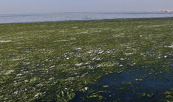 İzmir Körfezi için kirlilik uyarısı