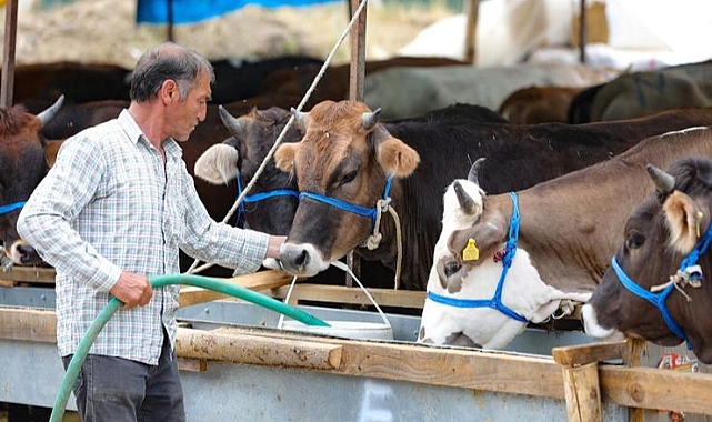 Bayraklı Belediyesi Kurban Bayramı’na hazır