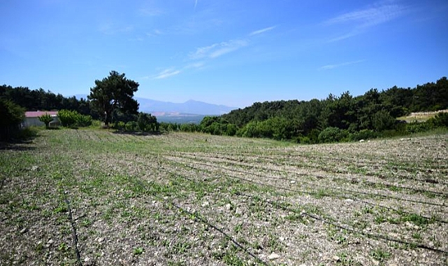 Bornova Belediyesi’nden tohumdan tezgaha tarımsal destek