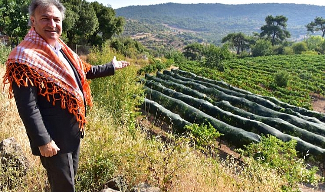 Bornova Kınalı Bamyası’na koruma kalkanı