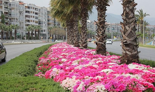 İzmir çiçek açtı